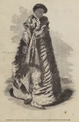 Paratene Maioha, a Chief of Wangaroa, Wearing the Parawai or Dog